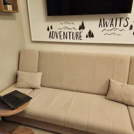 Appartement Au Faubourg -old - & Canal 1 Min Annecy